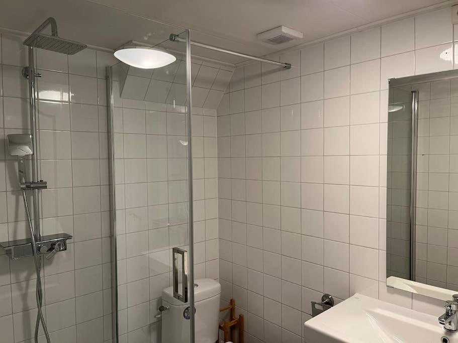 Appartement Centrum Leeuwarden Extérieur photo